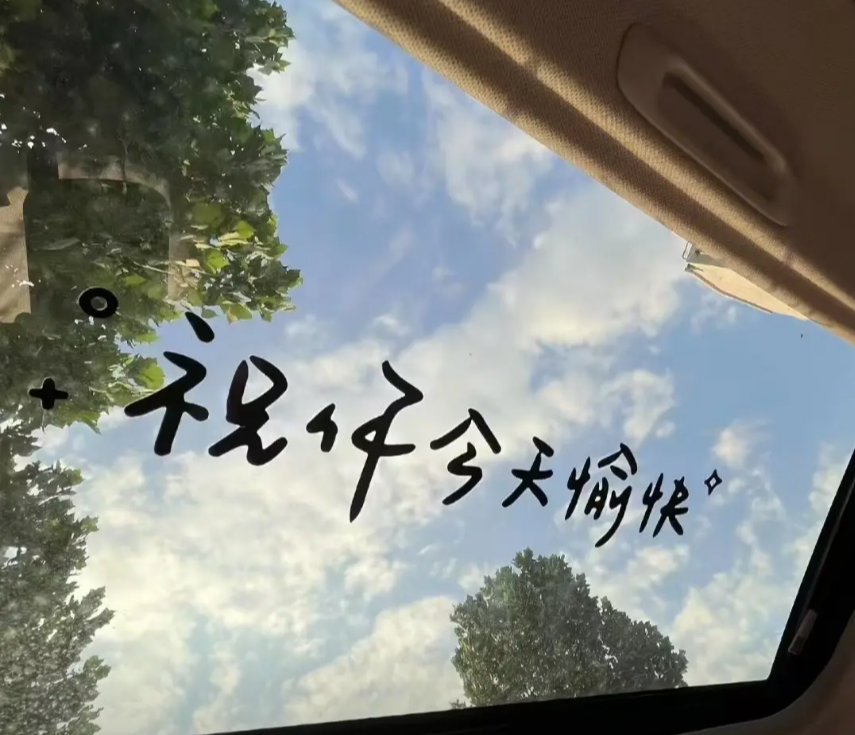 成年人的感情真相：所有内耗与遗憾，其实早有答案